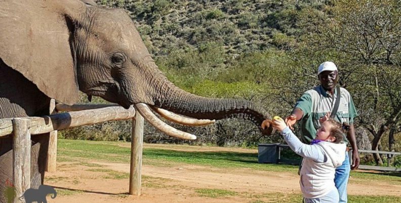 Indalu Elephant Experience