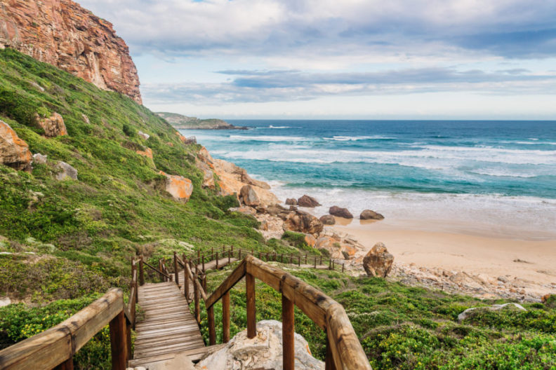 Things To Do In Plettenberg Bay