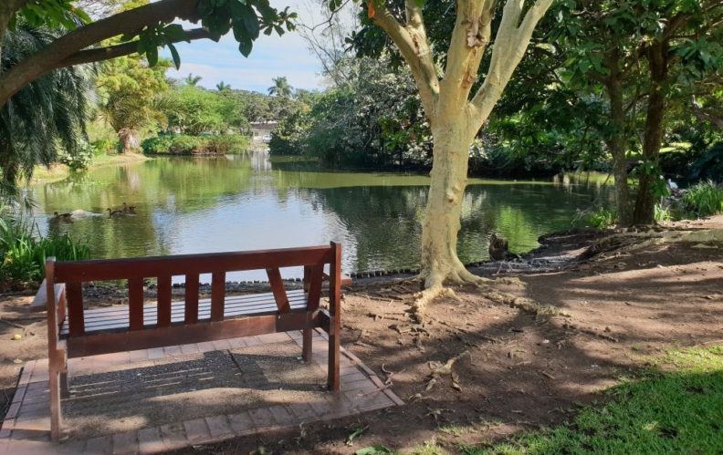 Pond and bench at Durban Botanic Gardens