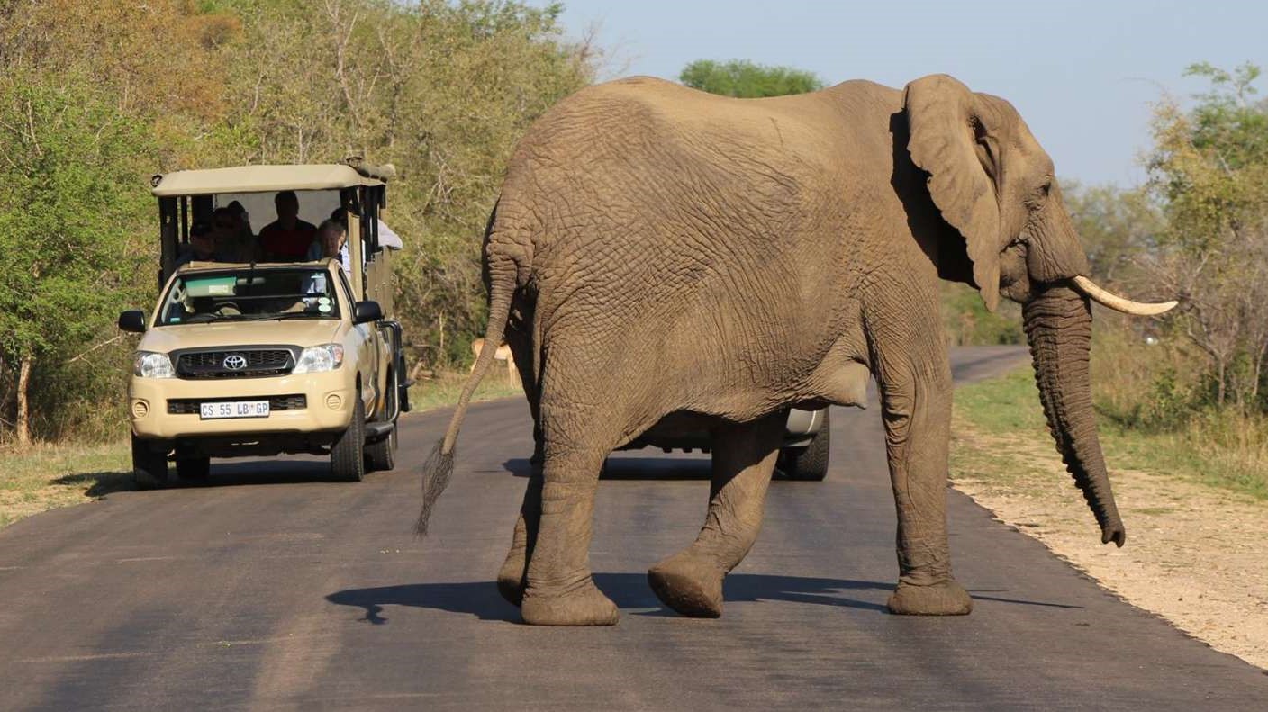 Things To Do in Kruger National Park