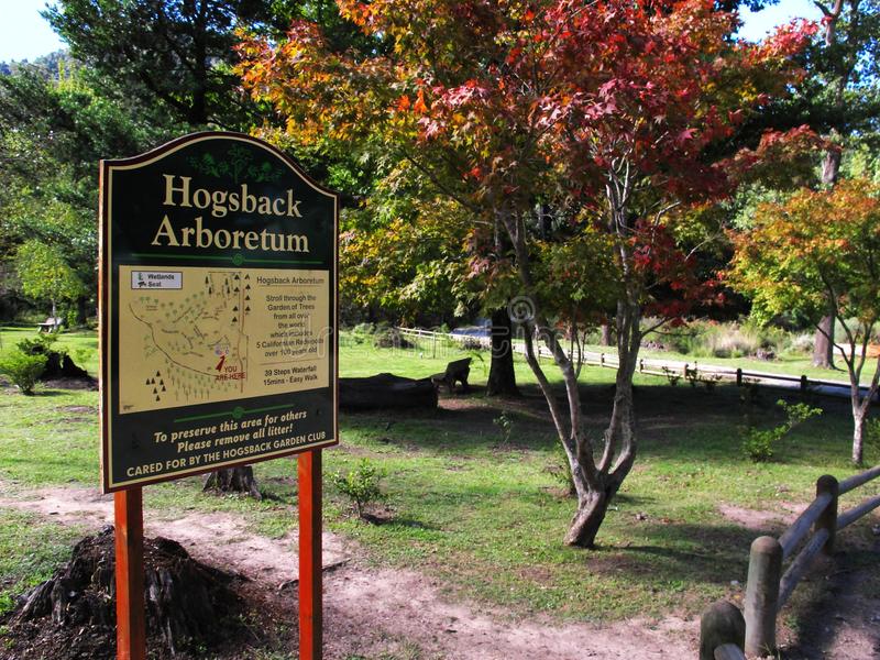 Hogsback Arboretum