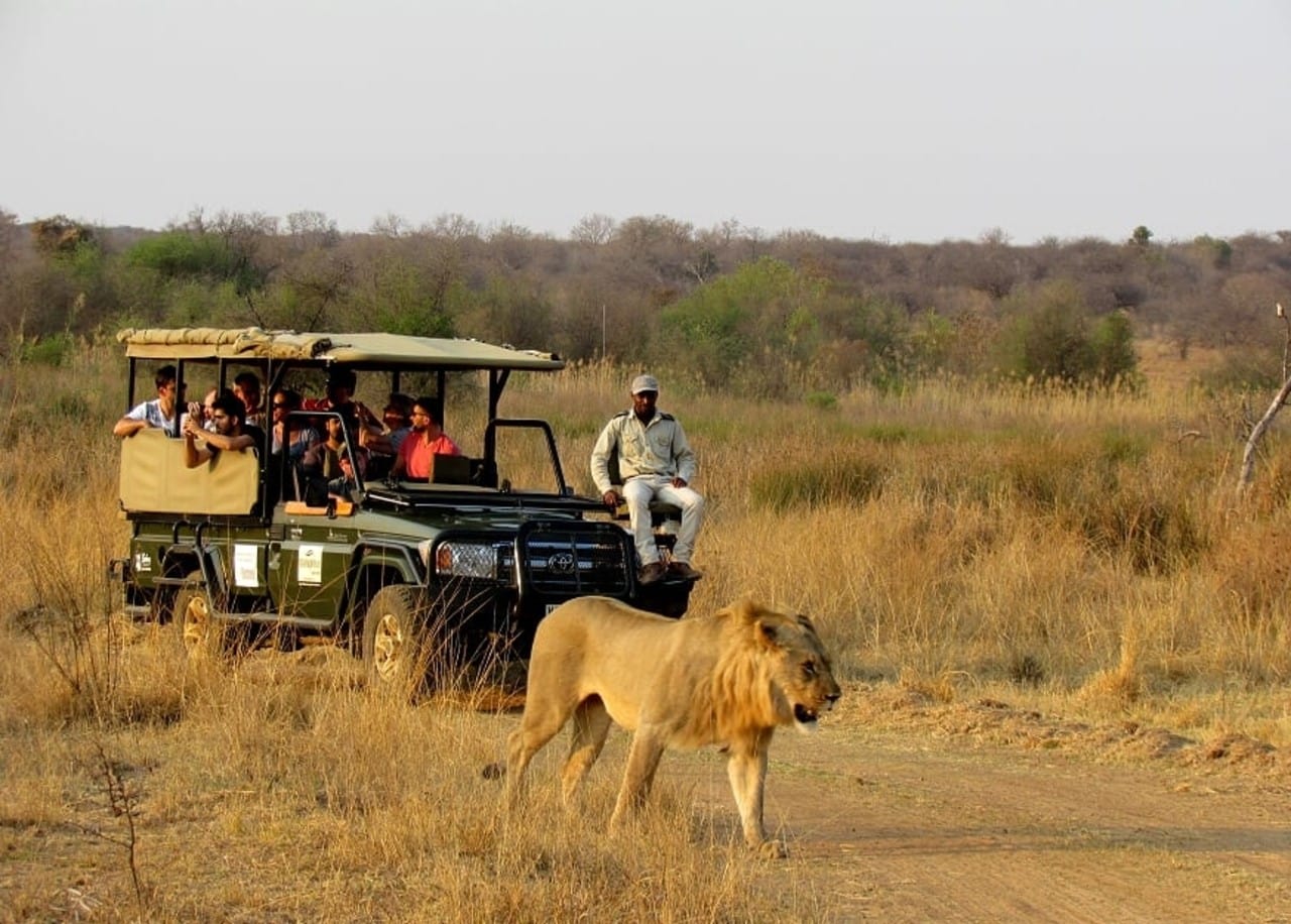 Dinokeng Game Reserve